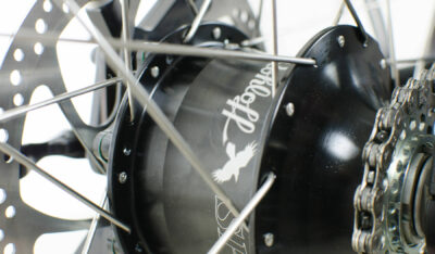Optibike R series rohloff 14 speed internal hub closeup