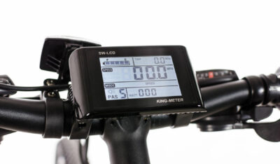 Pioneer Allroad 5 mode LCD display with speedometer