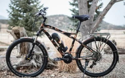 How to Choose the Perfect E-Bike