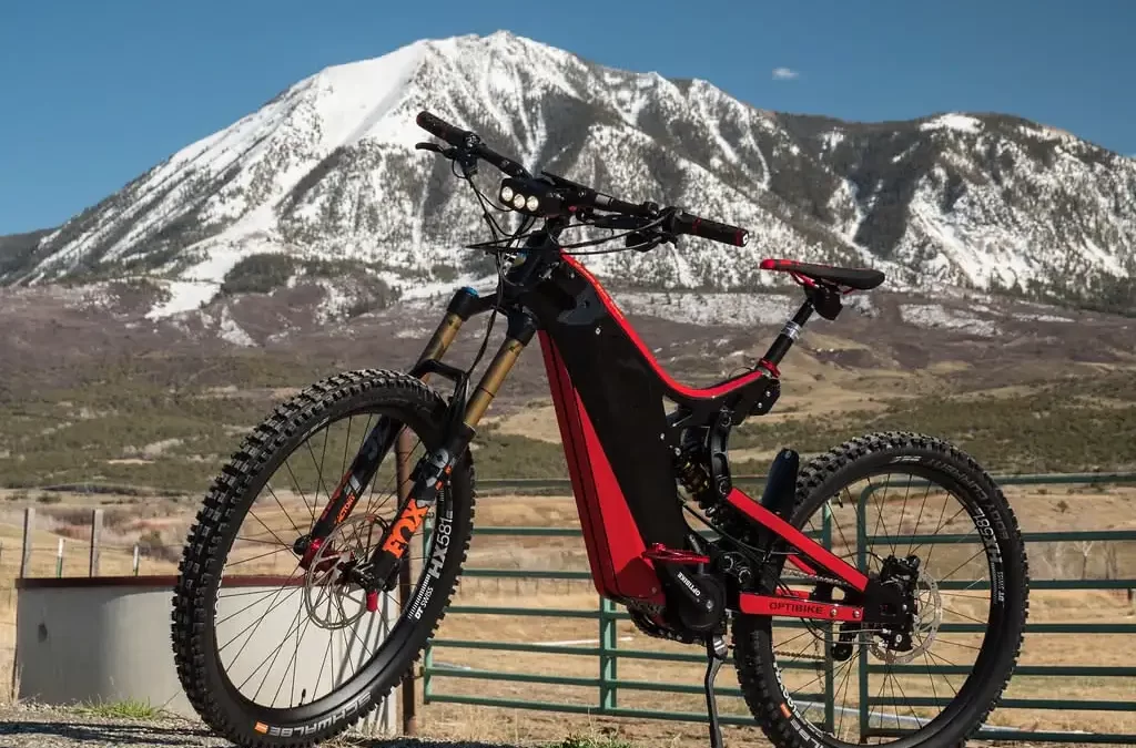 Electric Bikes vs Mopeds