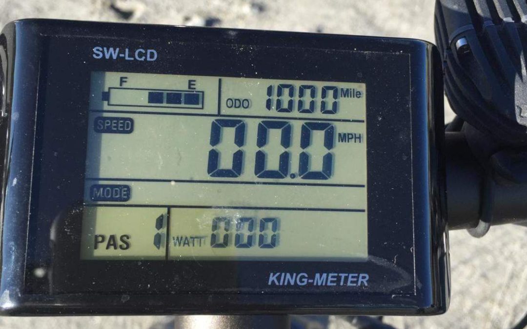 Electric Bike rider Burns 1100 Calories per day!