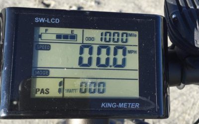 Electric Bike rider Burns 1100 Calories per day!