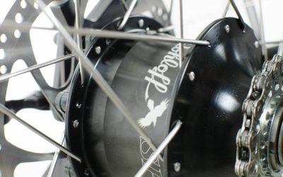 Why We Use Rohloff Hubs
