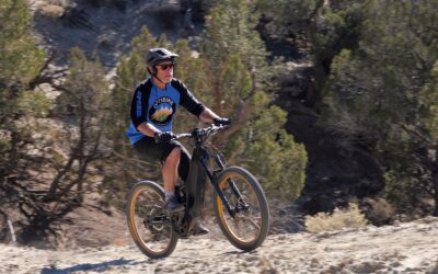 Announcing the Optibike G2 Altus: The Ultimate Hand-Built E-Venture Bike